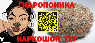 прущие крисы Конаково
